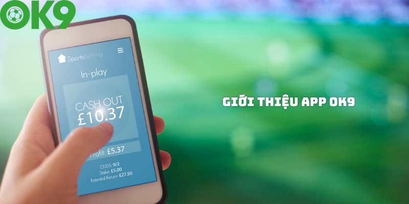 Giới thiệu chung về ứng dụng cá cược OK9